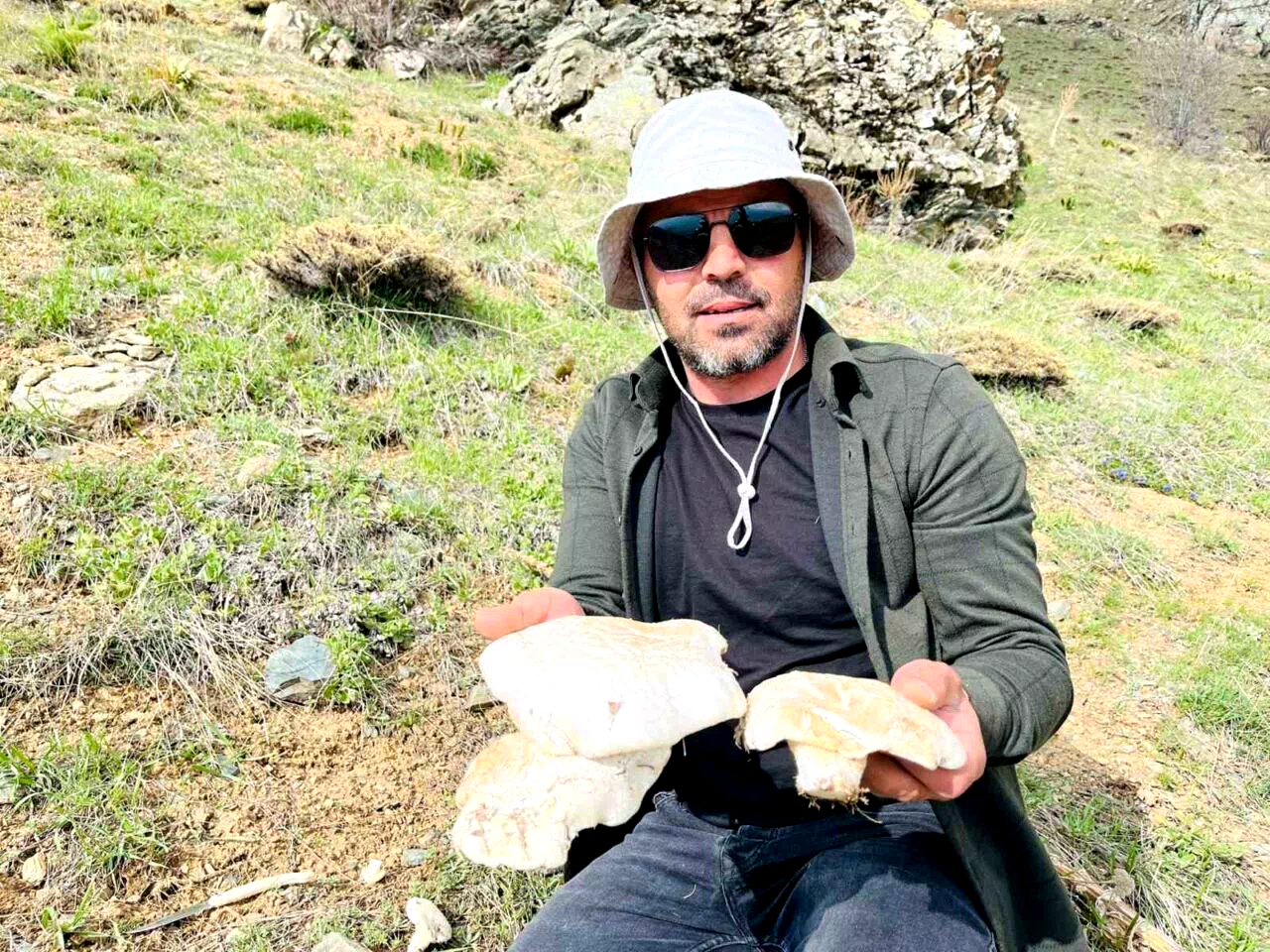 2 bin rakımın üzerinde yetişen mantarları topluyorlar