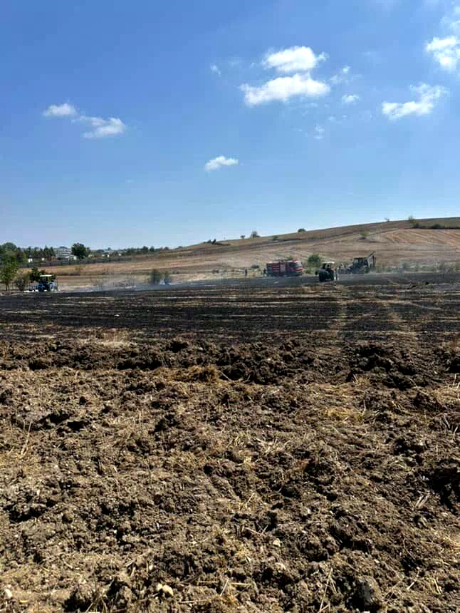 20 dönümlük alan anız yangınında kül oldu
