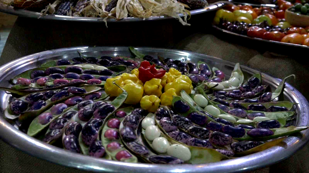 6. GastroRize Gastronomi Festivali kapılarını ziyaretçilere açtı