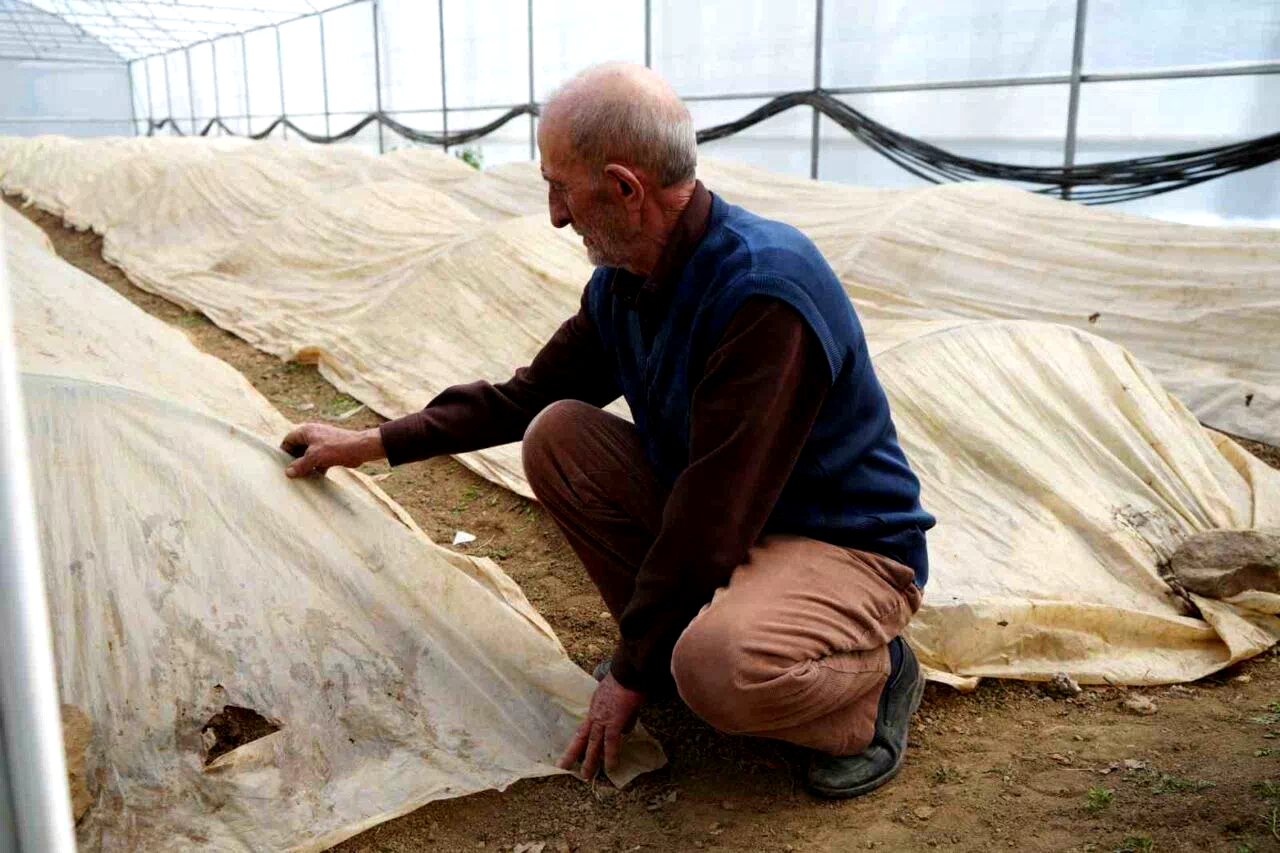 76 yaşındaki Bayburtlu üretici ata tohumları için zirai don nöbetinde