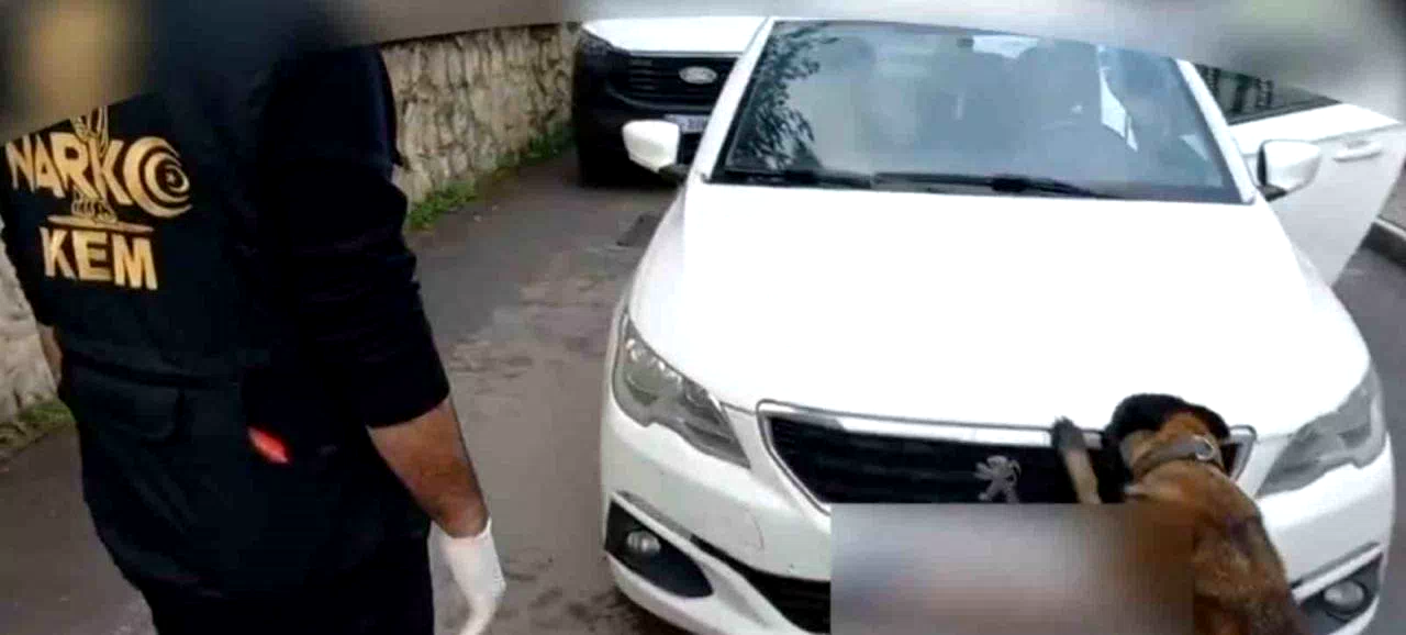 92 kilo bonzai hammaddesi taşıyan 2 şüpheli gözaltına alındı