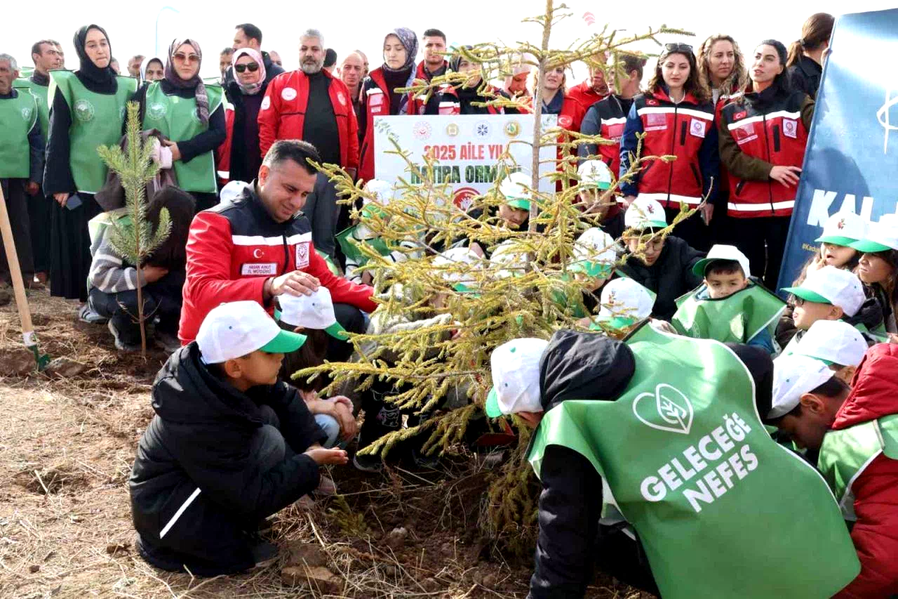 Aile Yılı’nda anlamlı buluşma: Aile Hatıra Ormanı’nda fidanlar toprakla buluştu