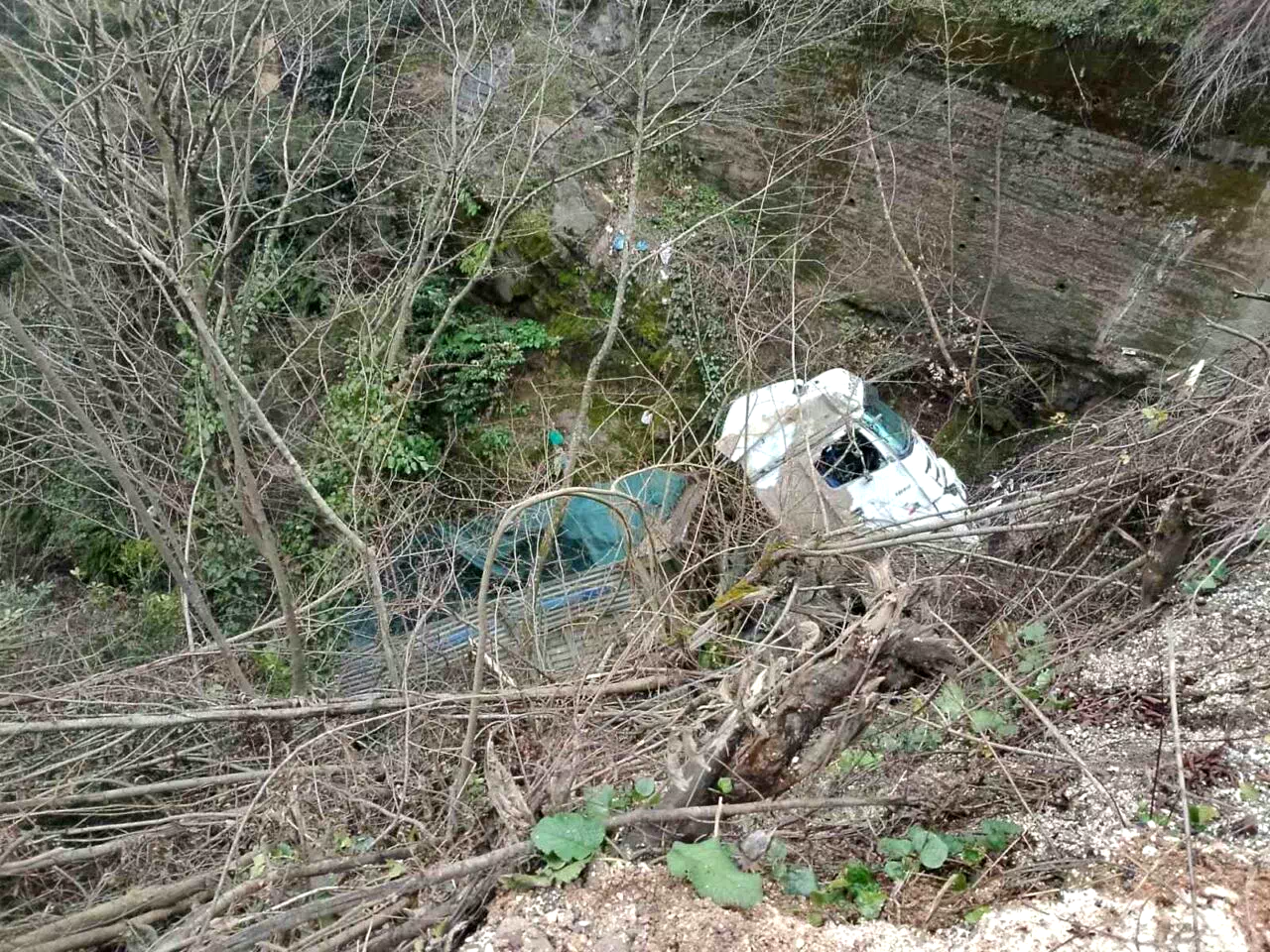 Alaplı’da kamyon şarampole uçtu