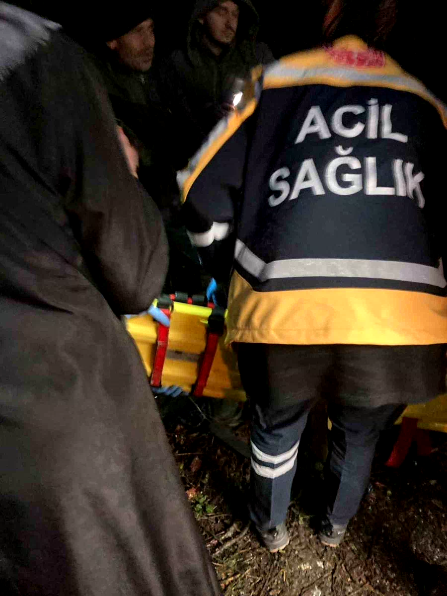 Alaplı’da pat pat kazası: 2 yaralı