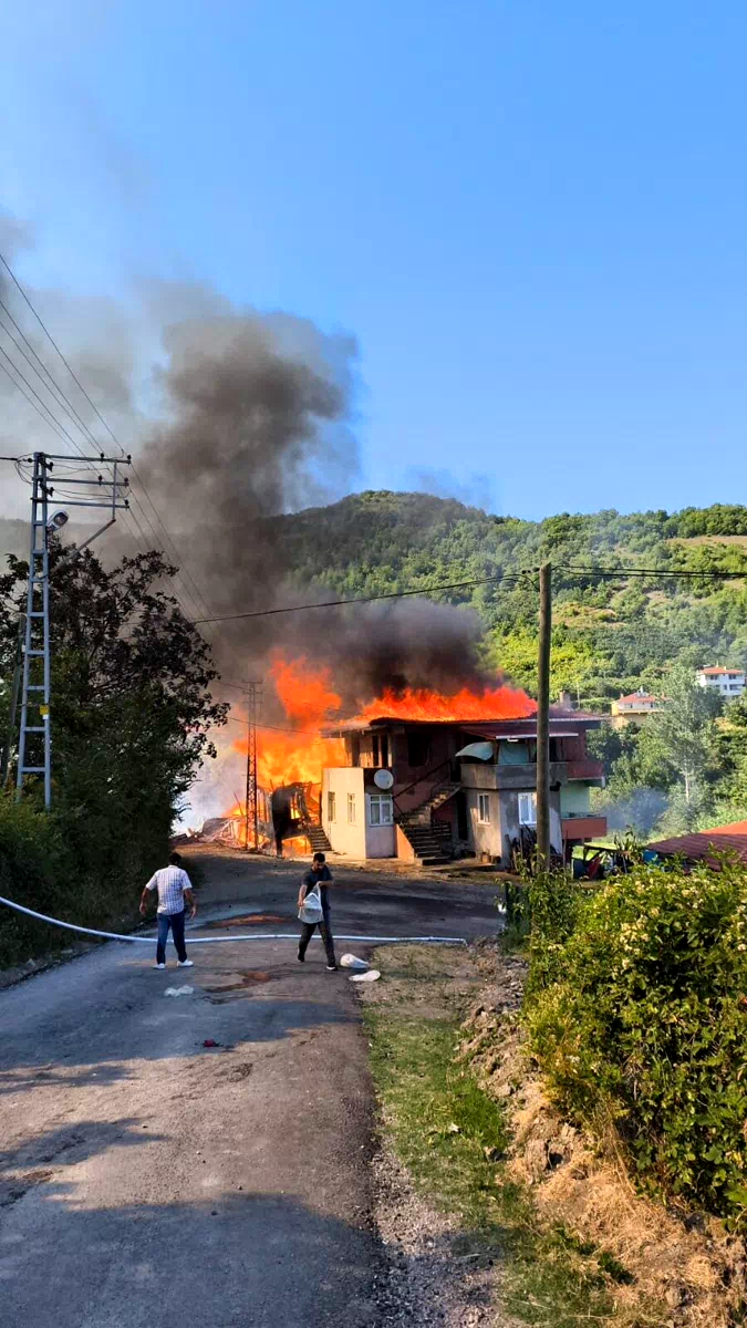 Alevlere teslim olan ev küle döndü: 1 eşek telef oldu