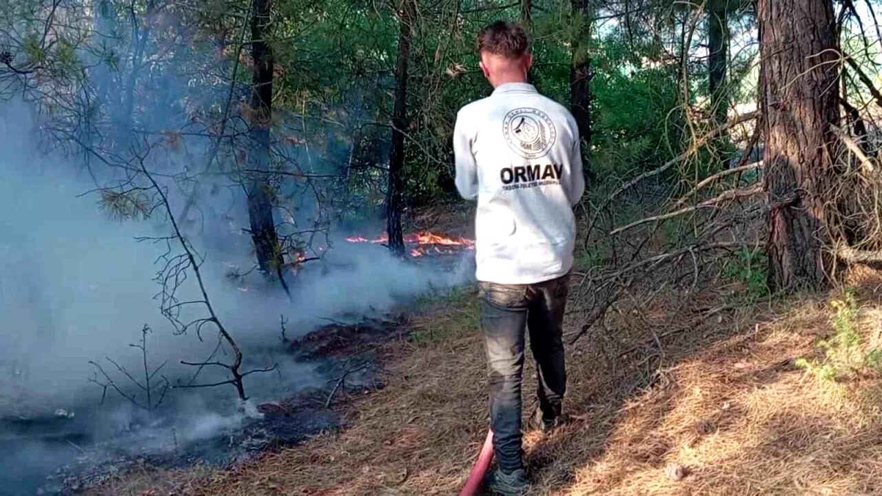 Amasya’da orman yangını