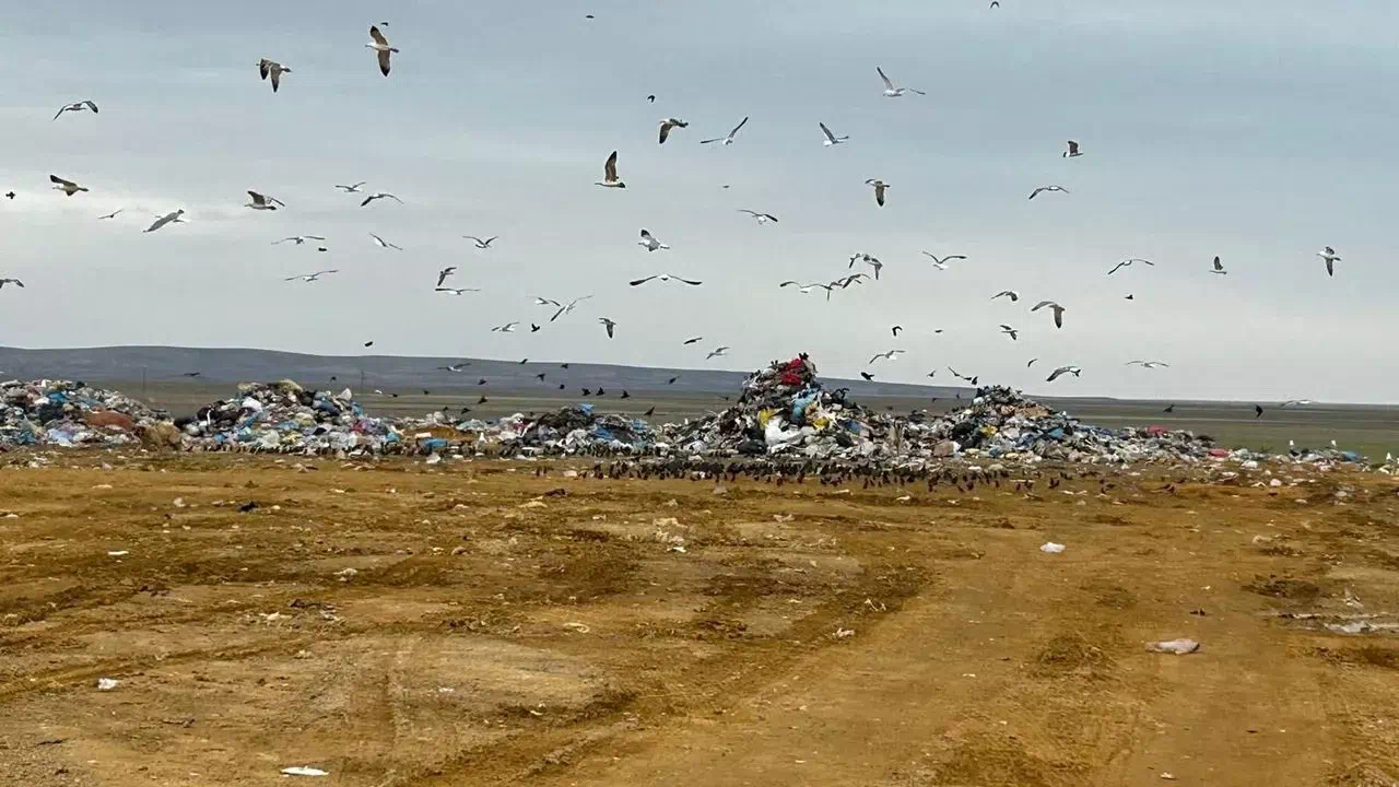 Ankara Büyükşehir Belediyesi’nin çevre ihlaline milyonluk ceza!