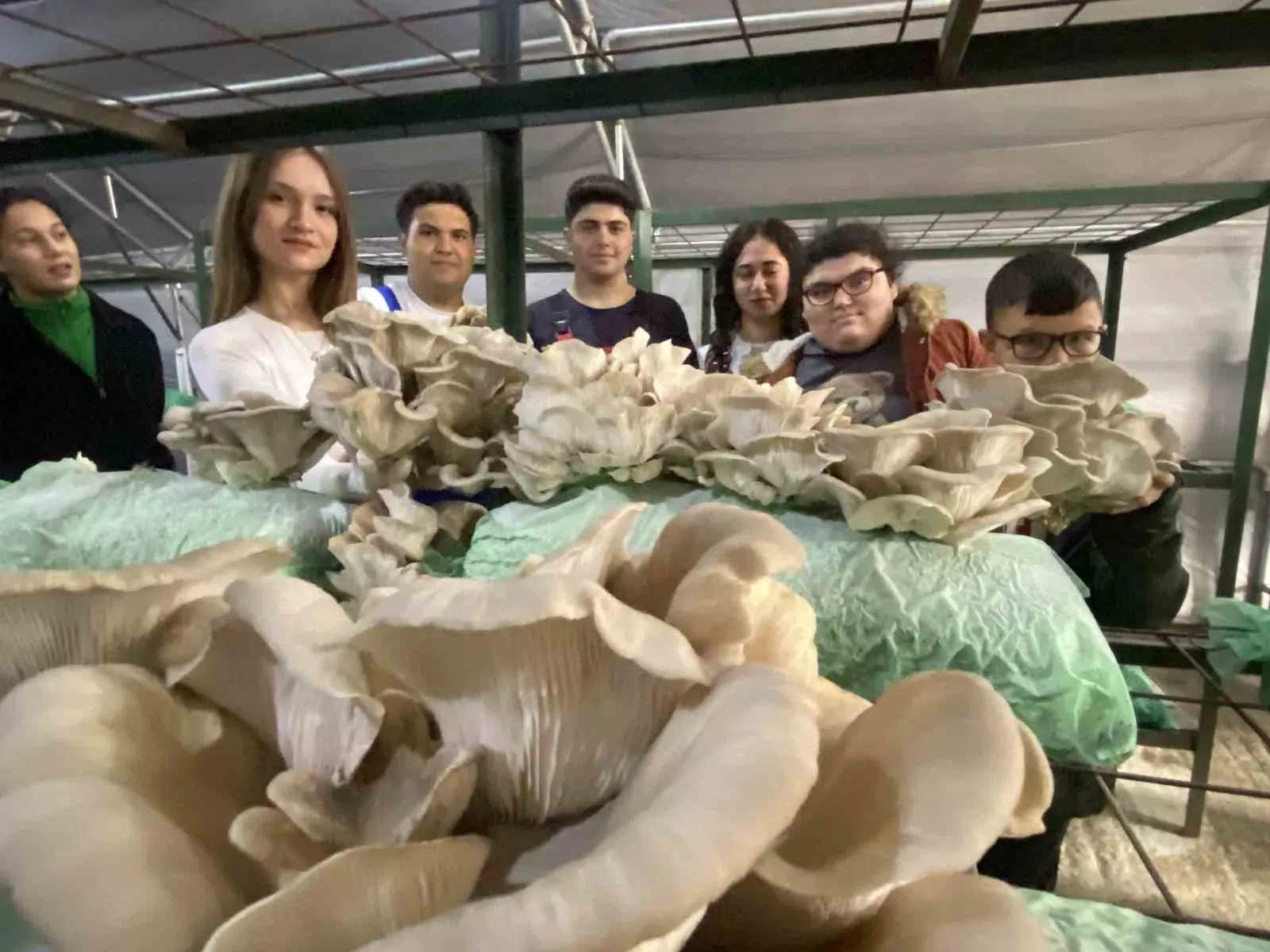 Antalya Aksu’daki liseden öğrenciler, özel eğitim okulundan gelen öğrencilerle birlikte mantar hasadı yaptılar.