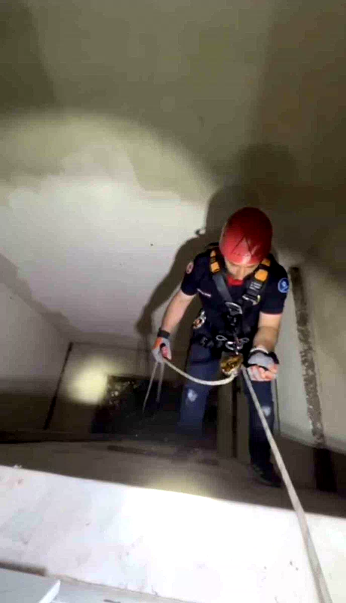 Apartman boşluğuna düşen yavru martı ekiplerce kurtarıldı