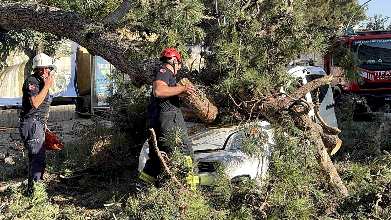 Aracıyla düz yolda giderken kabusu yaşadı