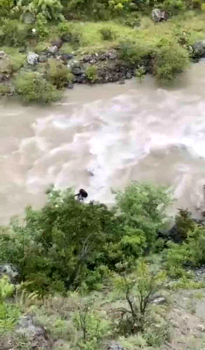 Artvin’de bir otomobil Çoruh Nehri’ne düştü; baba ile oğlu aranıyor