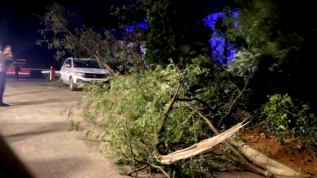 Artvin’de fırtına çatıları uçurdu, ağaçlar devrildi