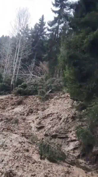 Artvin’de heyelan: Ormanlık alan yok oldu, köy yolları kapandı