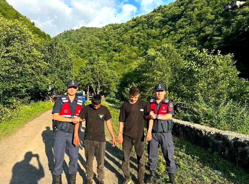 Artvin’de kaçak göçmenler ormanlık alanda yakalandı