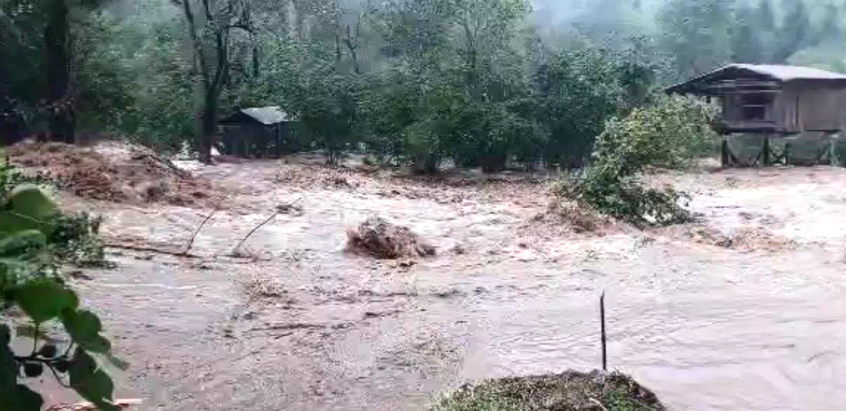 Artvin’de sağanak yağış sele neden oldu