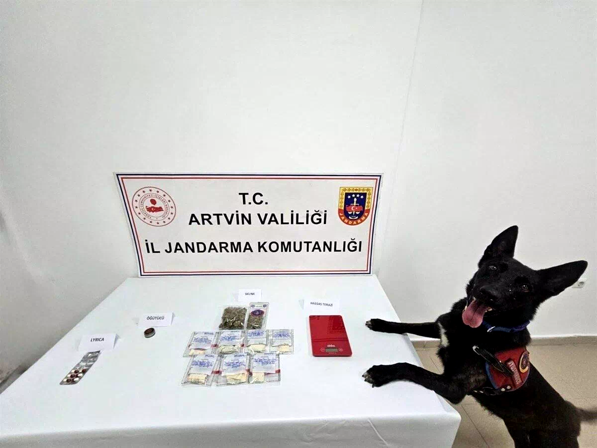 Artvin’de uyuşturucu operasyonu: 2 kişi tutuklandı