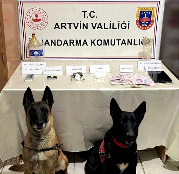 Artvin’de uyuşturucu operasyonu