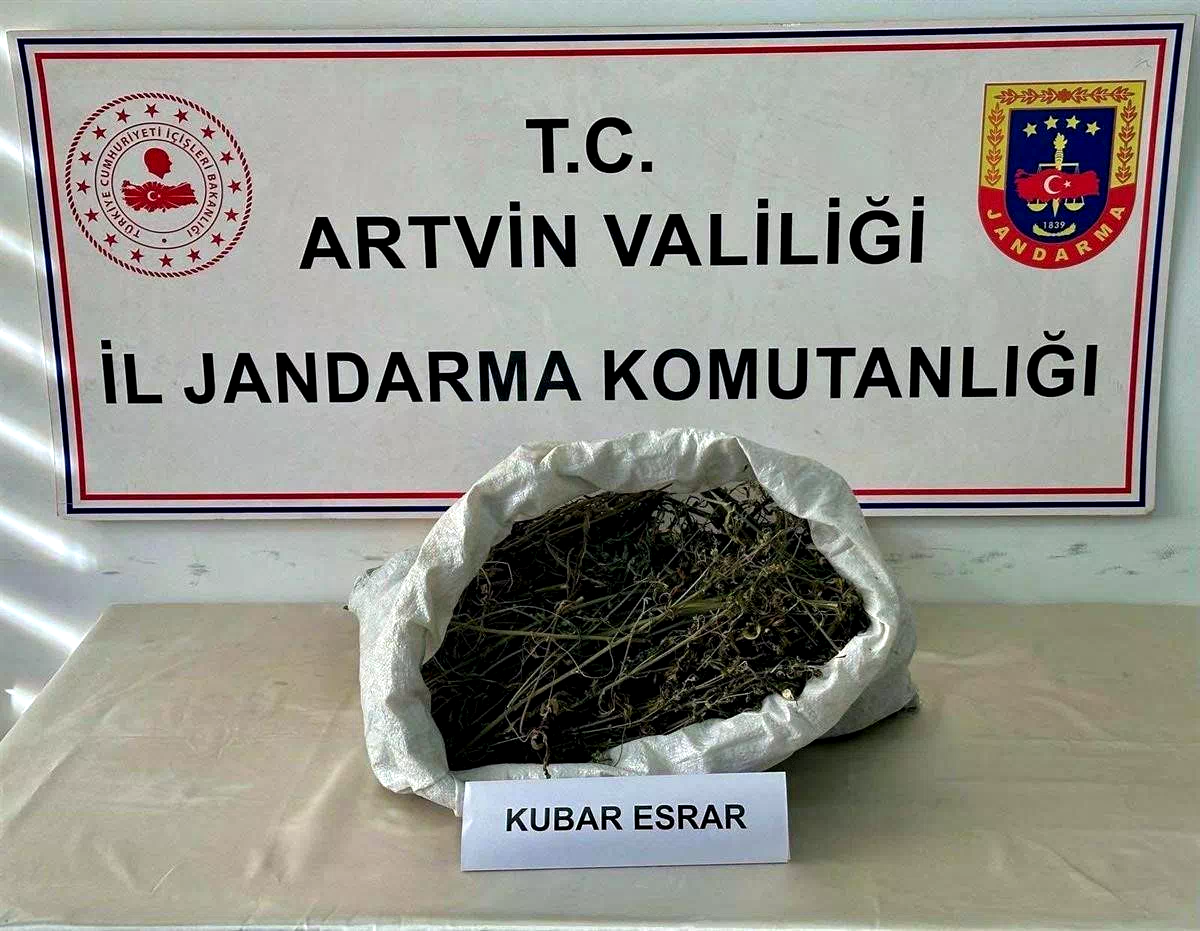 Artvin’de uyuşturucu operasyonu