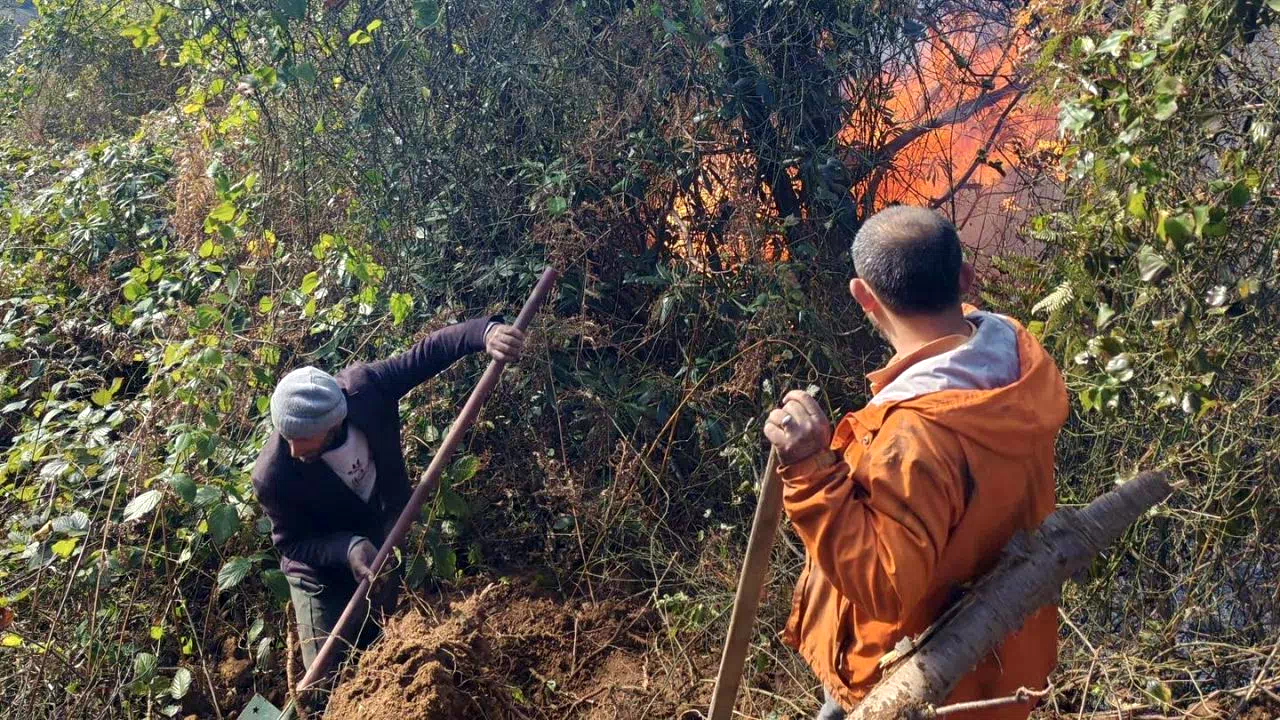 Artvin Hopa’da 5 hektarlık alanı küle çeviren yangınla mücadele sürüyor