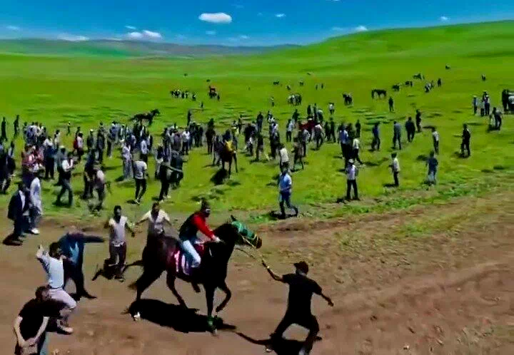 At yarışındaki görüntüler harekete geçirdi: Ata uygunsuz müdahaleye soruşturma