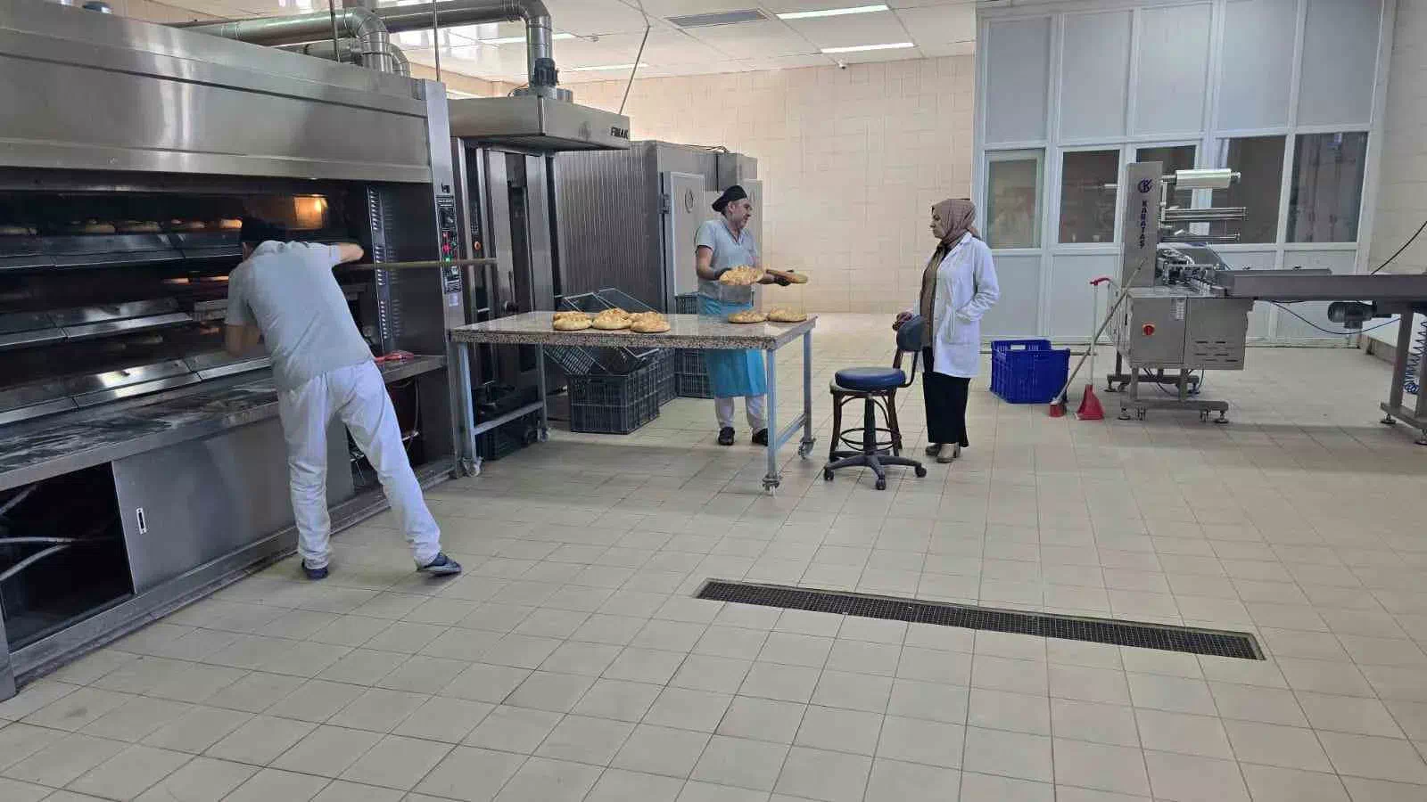 ATÜ, Teknik Bilimler MYO’da Gıda İşleme Bölümü öğrencileri, pilot ekmek ve süt fabrikasında peynir ve ekmek üretimine destek veriyor.