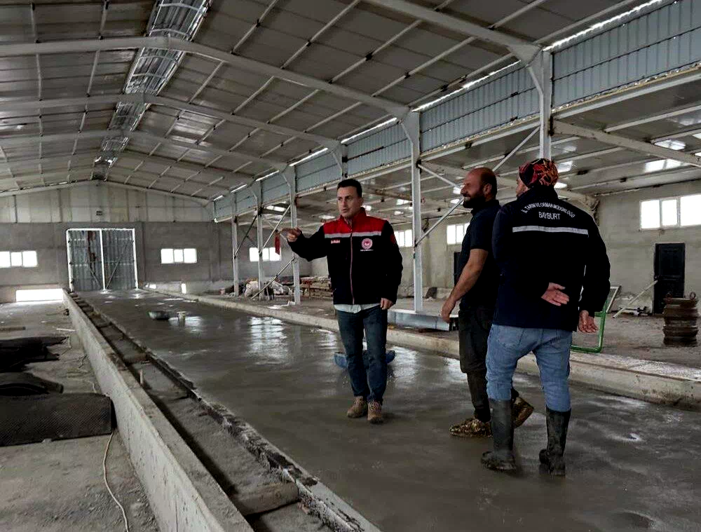 Aydıntepe’deki hayvancılık işletmelerinde kapasite değerlendirmesi yapılıyor