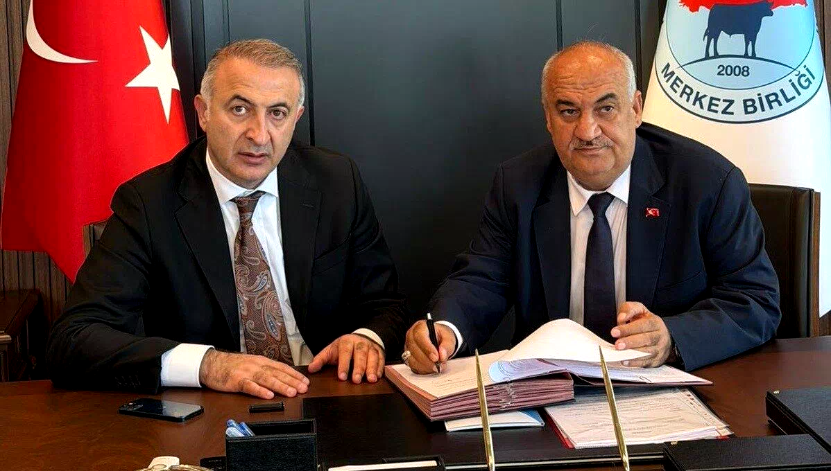 Aziziye Belediyesi’nden hayvancılık atılımı