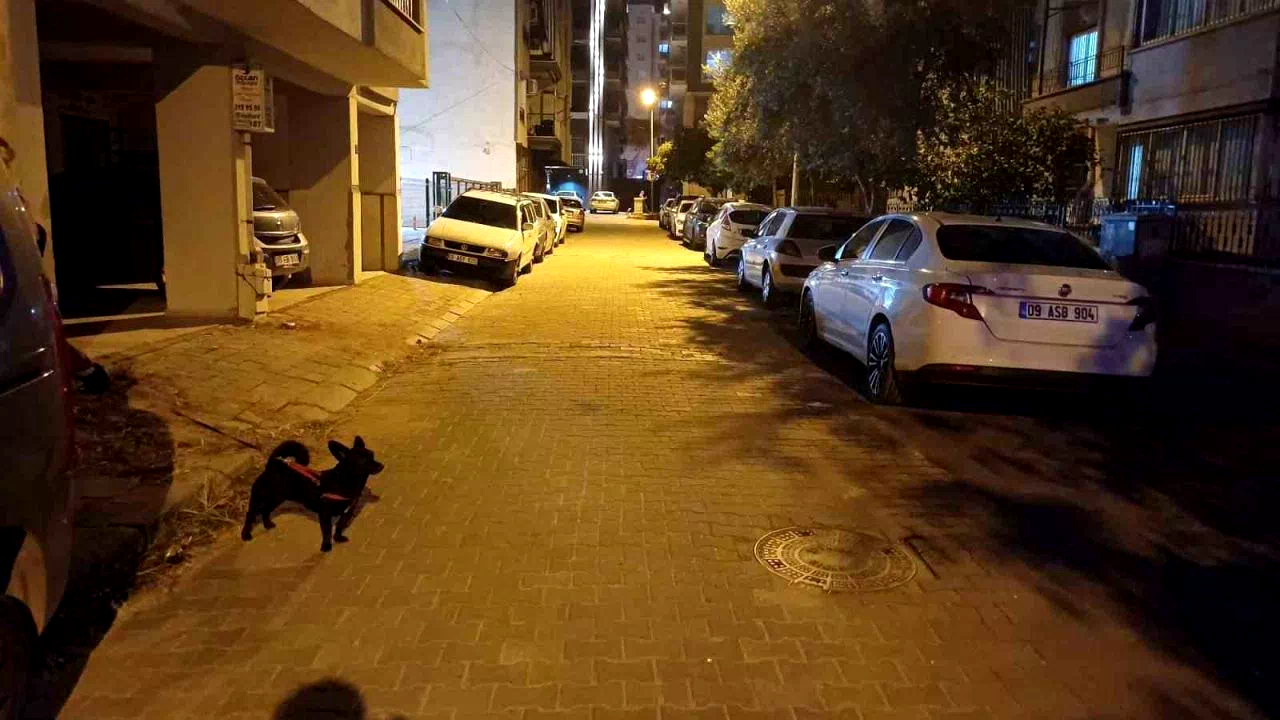 Balıkesir’deki deprem Aydın’da da hissedildi