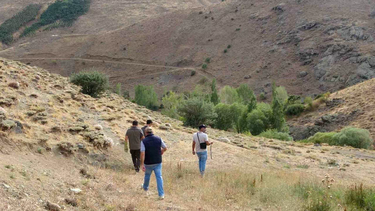 Bayburt’ta annesini kaybeden yavru ayı köyü alarma geçirdi