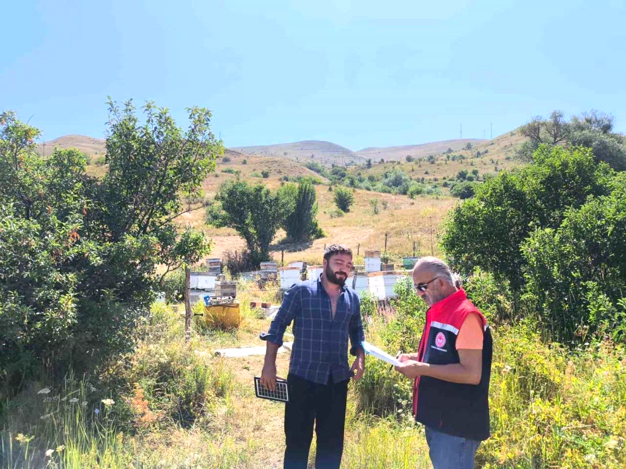 Bayburt’ta arılı kovan desteklemesi kapsamında tespit çalışmaları başladı