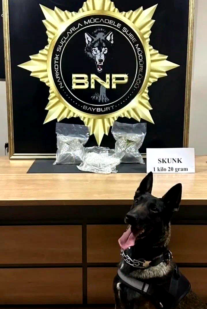 Bayburt’ta bavula yerleştirilmiş 1 kilo 20 gram skunk ele geçirildi
