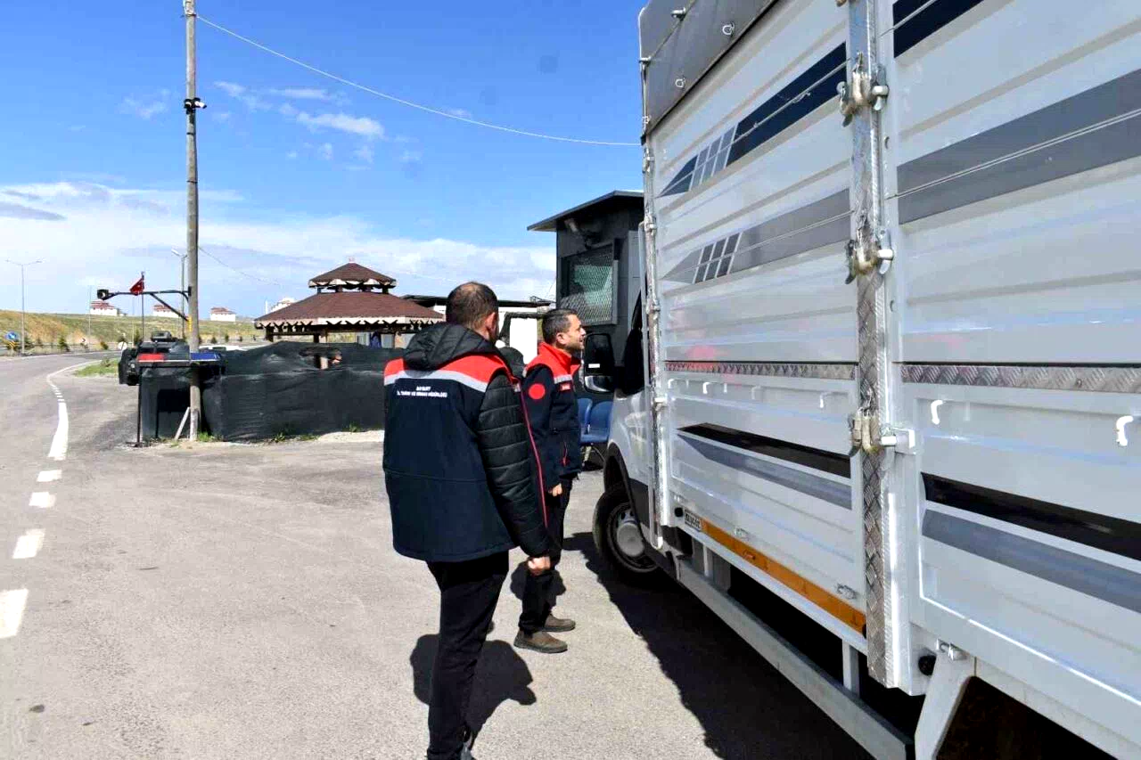 Bayburt’ta bayram öncesi hayvan sevkiyatlarına sıkı denetim