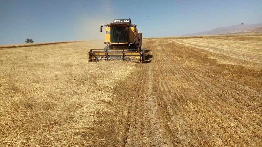 Bayburt’ta besici ve yetiştiricilere yemlik arpa satışı yapılacak