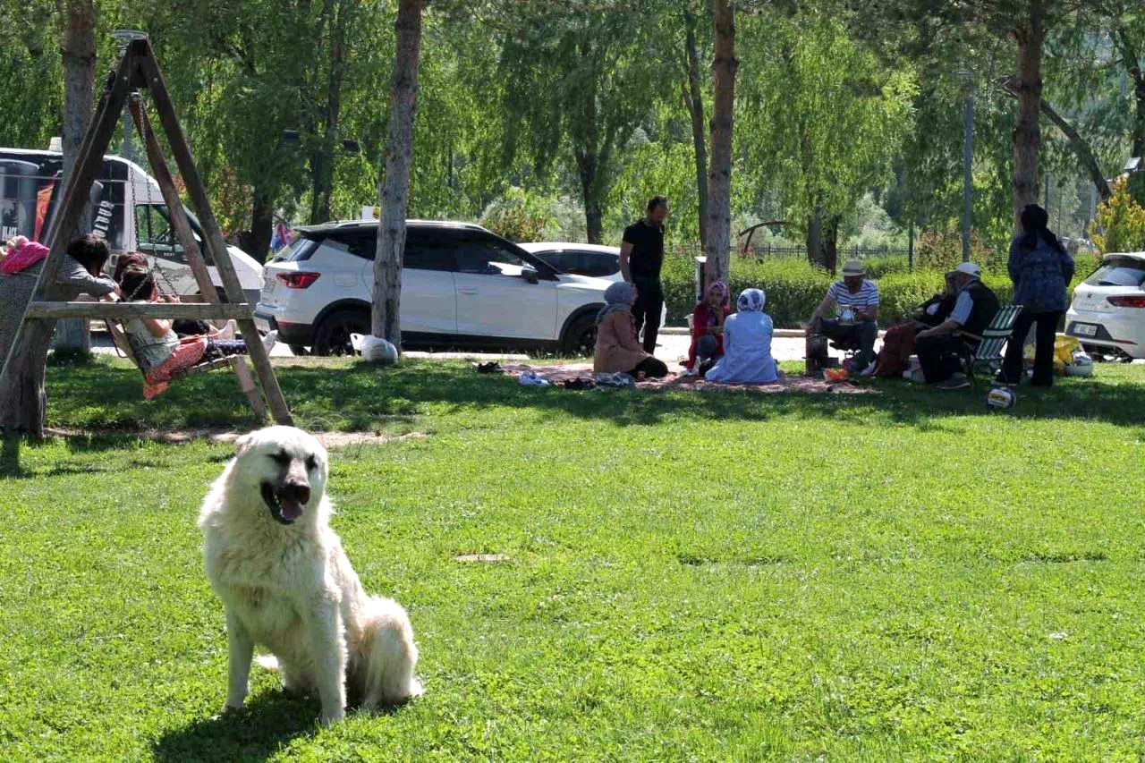 Bayburt’ta hafta sonu mesire alanları piknikçilerle doldu