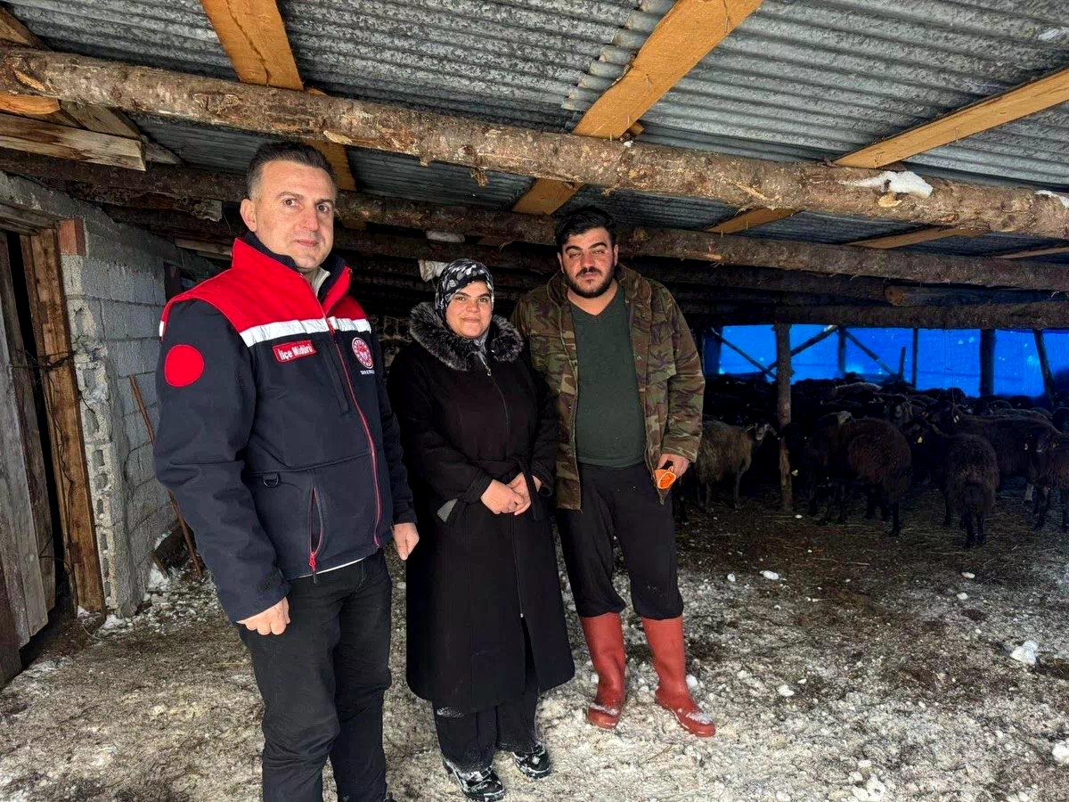 Bayburt’ta hayvancılığa yeni başlayan üreticilere destekler sürüyor
