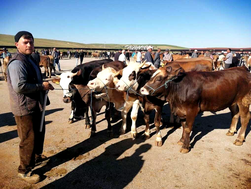 Bayburt’ta kurban kesim yerleri belli oldu