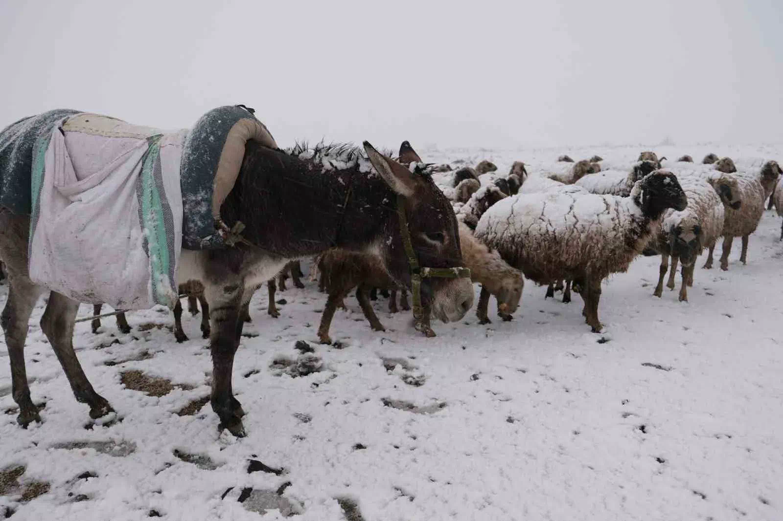 Bayburt’ta nisan ayında yoğun kar yağışı