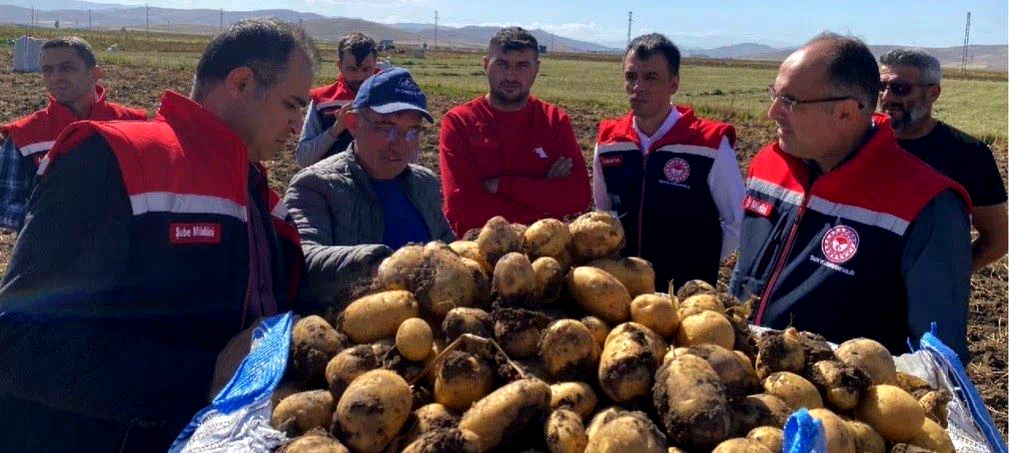Bayburt’ta patates hasadına başlandı