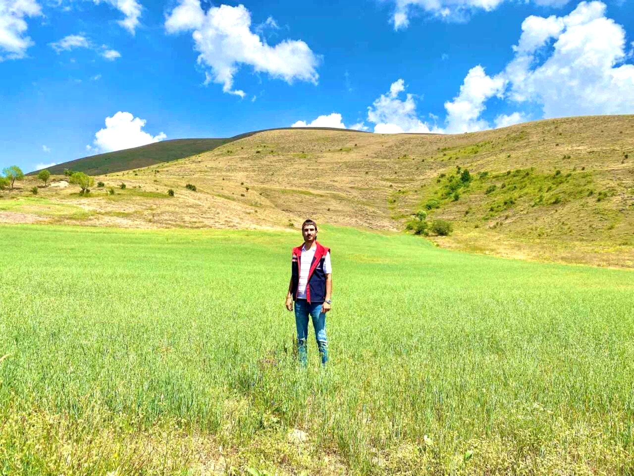 Bayburt’ta yem bitkileri için saha çalışmaları sürüyor