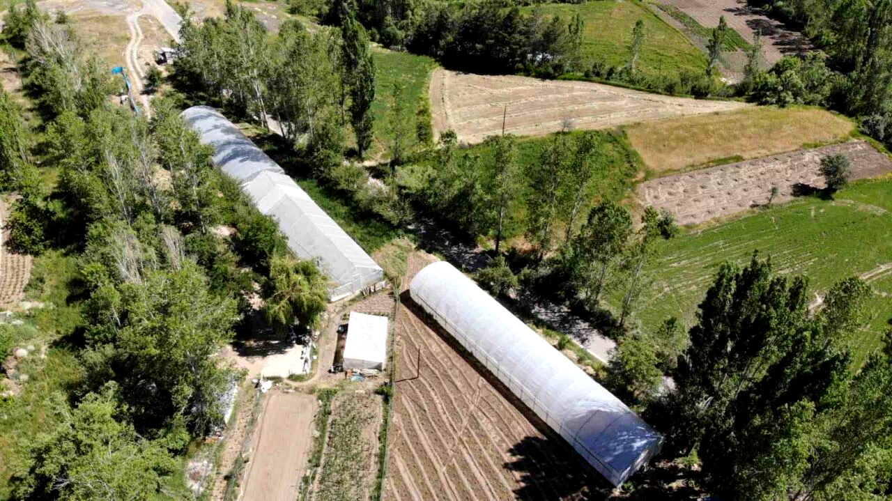 Bayburt’ta yüzde 70 hibeli sera projesi için başvurular yarın başlıyor