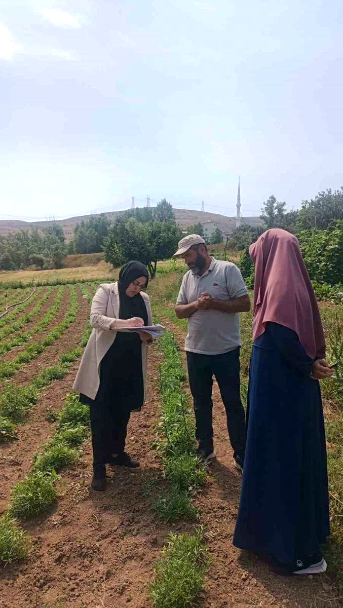 ‘Bayburt Tarhunu’ coğrafi işaret tescilinin ardından ilk kez denetlendi