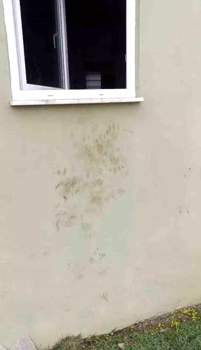Bir günde 20 eve giren ayı yayla sakinlerini canından bezdirdi