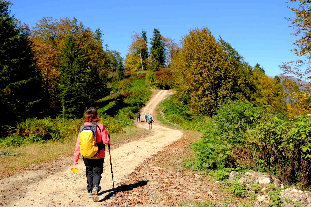 Bir yanda Karadeniz, bir yanda sonbahar: Kürtün’de etkileyici yürüyüş