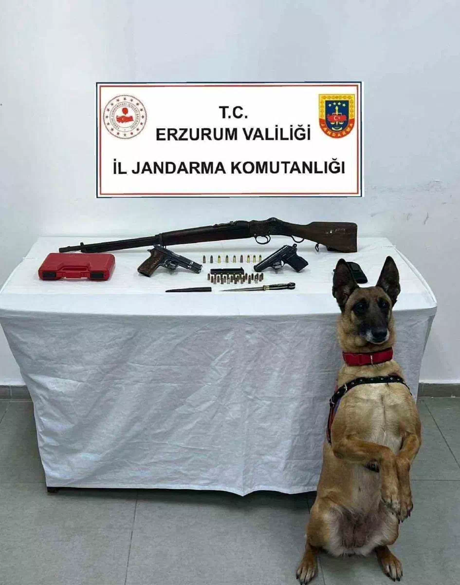 Bomba arama köpeği Yazı yine yakaladı