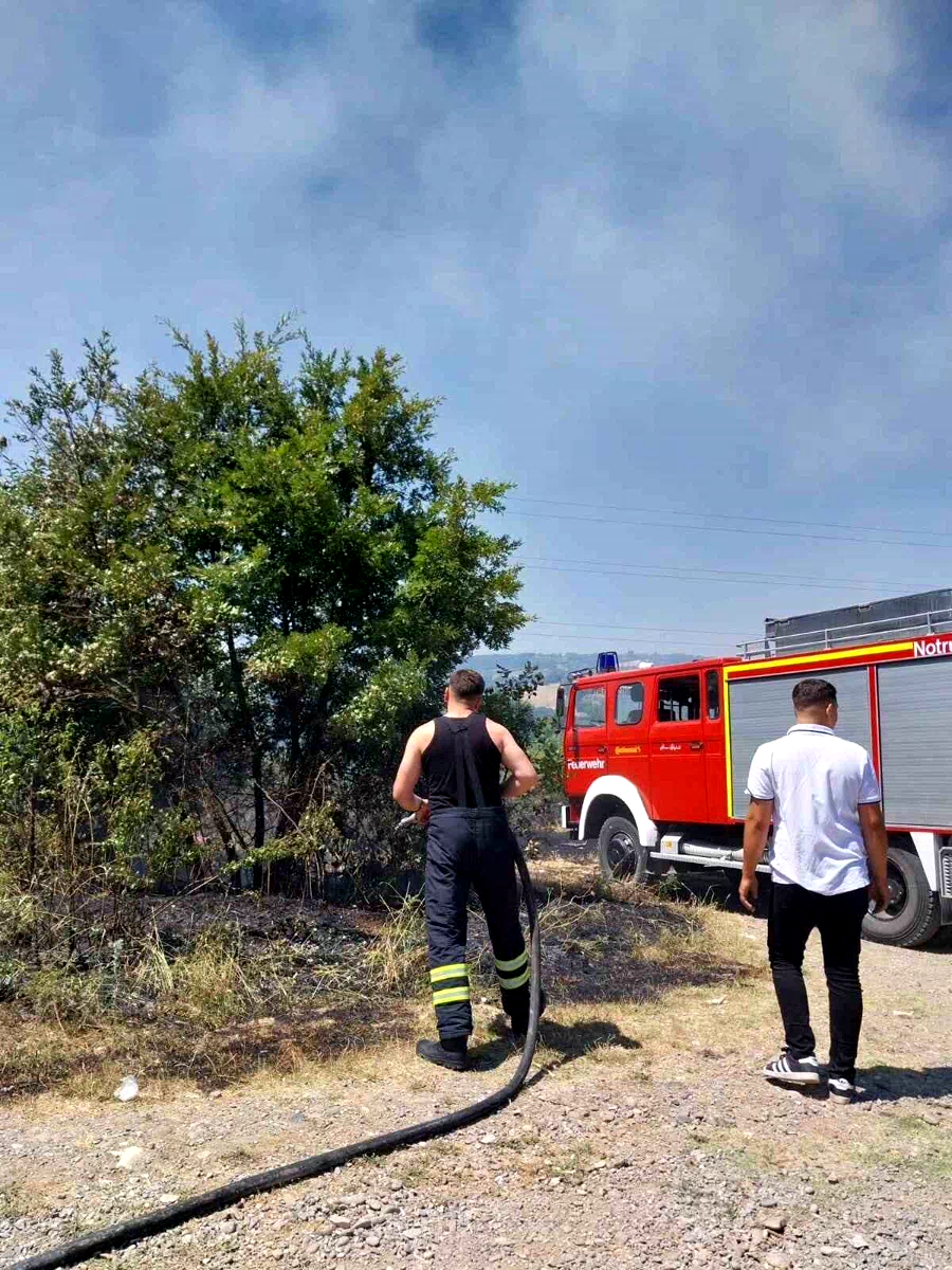Çaycuma’da çıkan orman yangını korkuttu