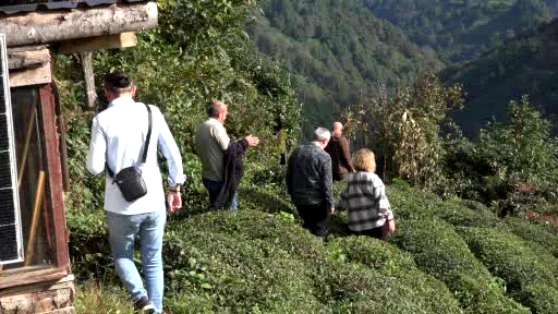 Çayeli’nin kültürel mirası bilimsel çalışmayla kayıt altına alınıyor