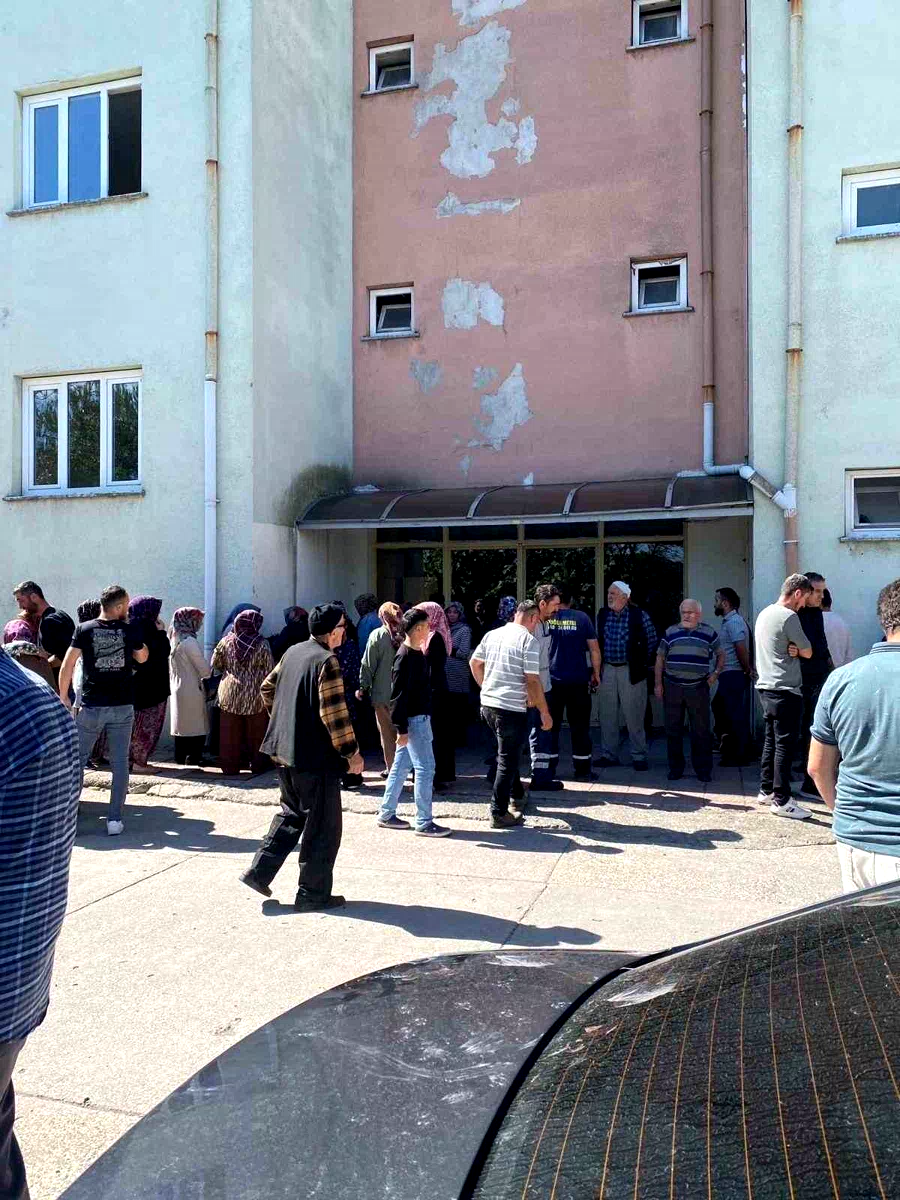 Ceviz toplarken elektrik akımına kapılarak hayatını kaybetti