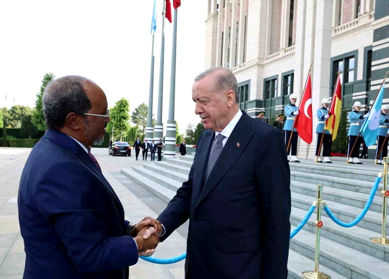 Cumhurbaşkanı Erdoğan, Somali Cumhurbaşkanı Mahmud ile görüştü