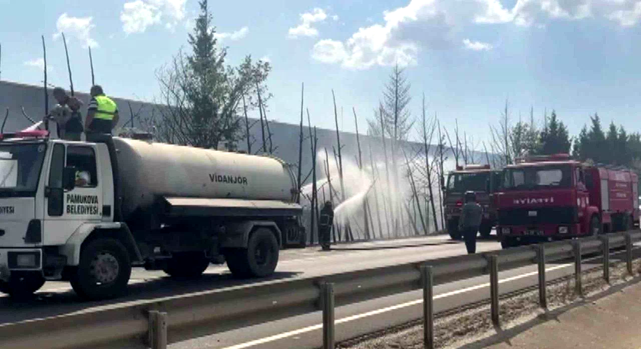 D-650’de korkutan yangın: Ağaçlar alev topuna döndü, trafik durduruldu
