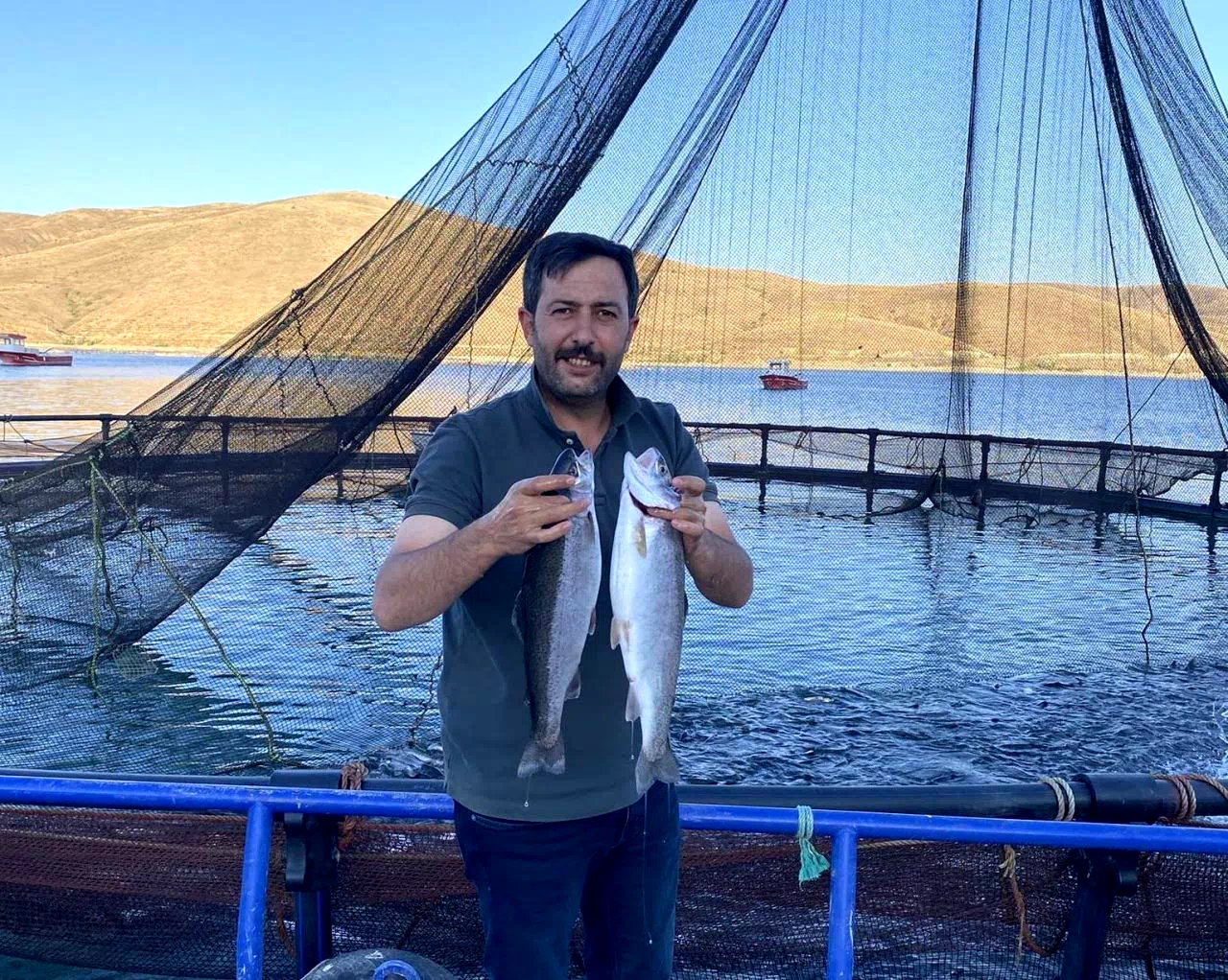 Demirözü Göletinde yetişen Alabalıklar Somon oldu